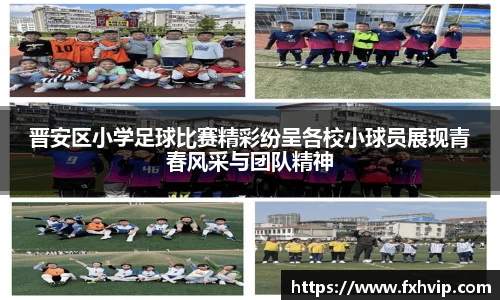 南宫ng28